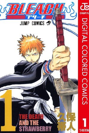 Bleach - Full Color